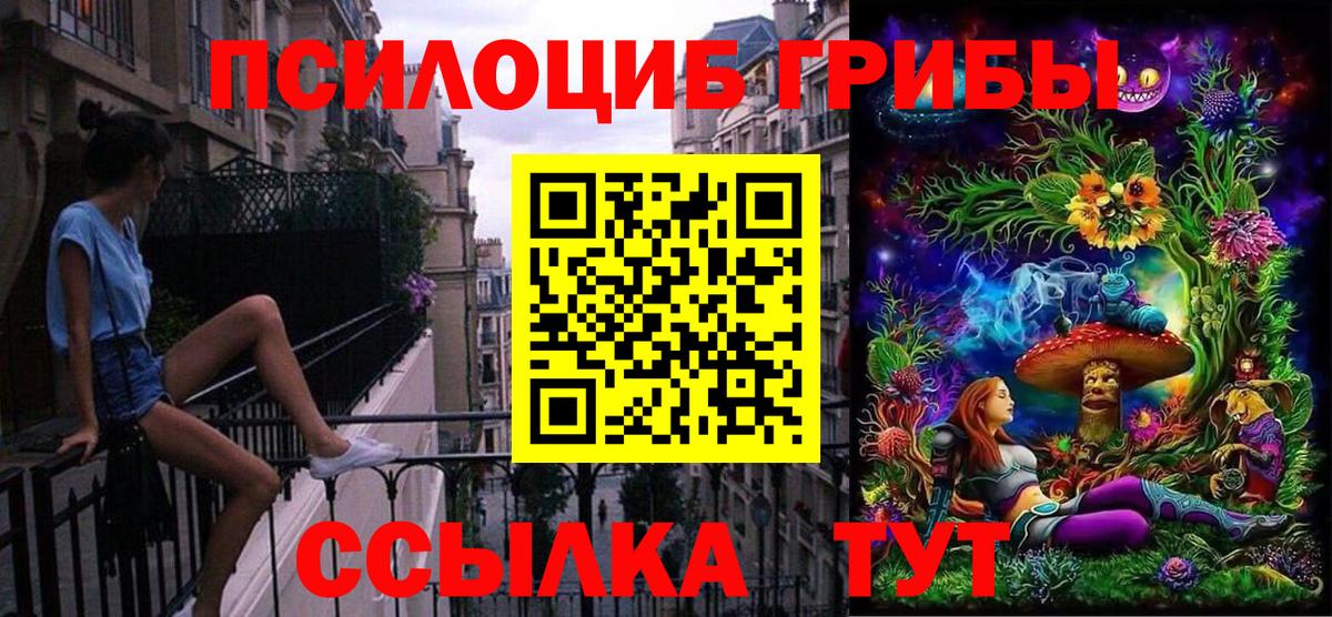 Псилоцибиновые грибы Cubensis  Псилоцибиновые грибы мицелий  где купить наркоту  Новоуральск  Вход с VPN 